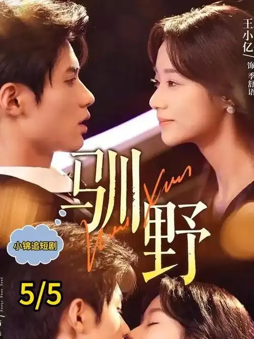 777影视都市情感剧南风知我意海报